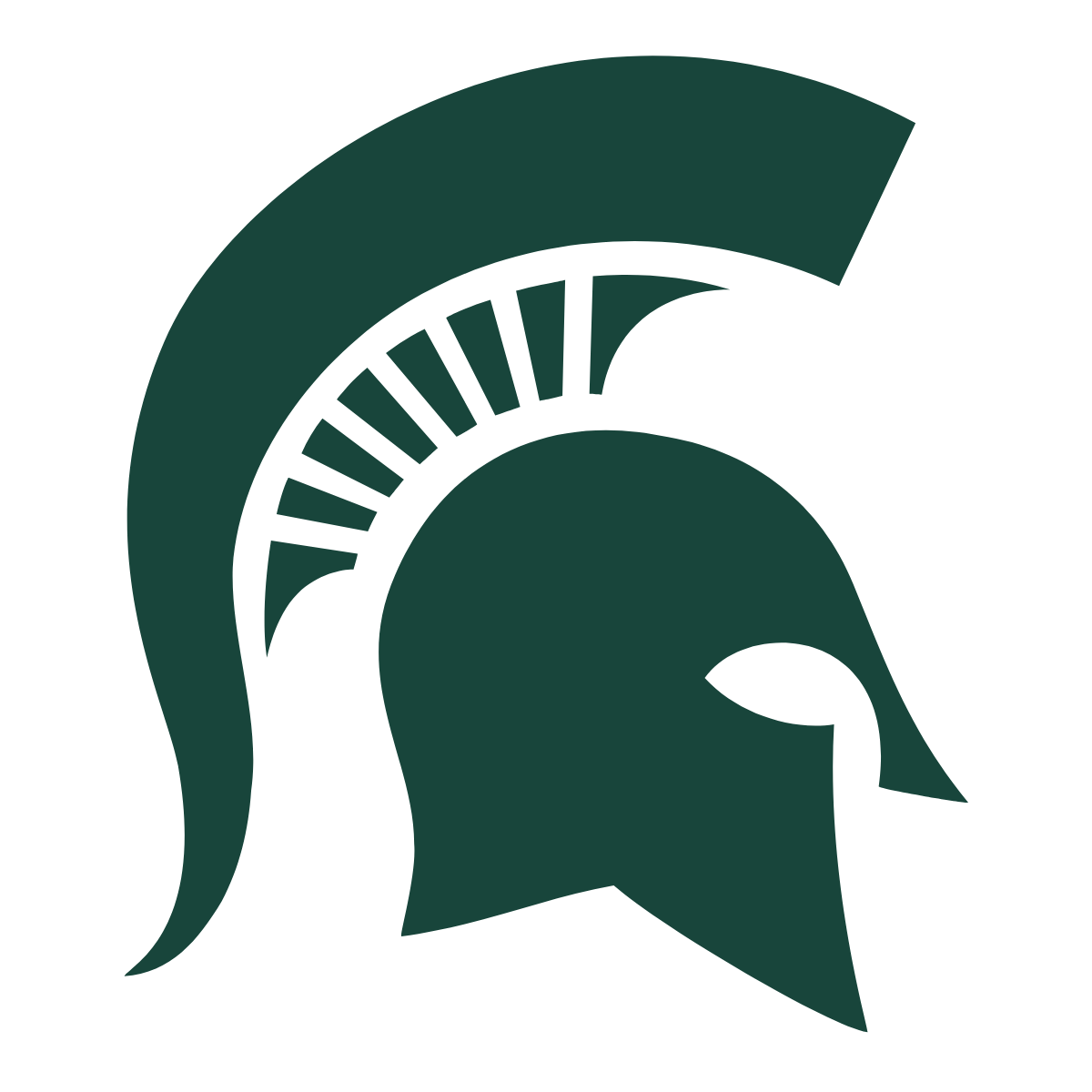 A dark green graphic of a Spartan helmet with a prominent curved crest and plume, shown in profile facing right, represents TPH Academy against a plain white background.