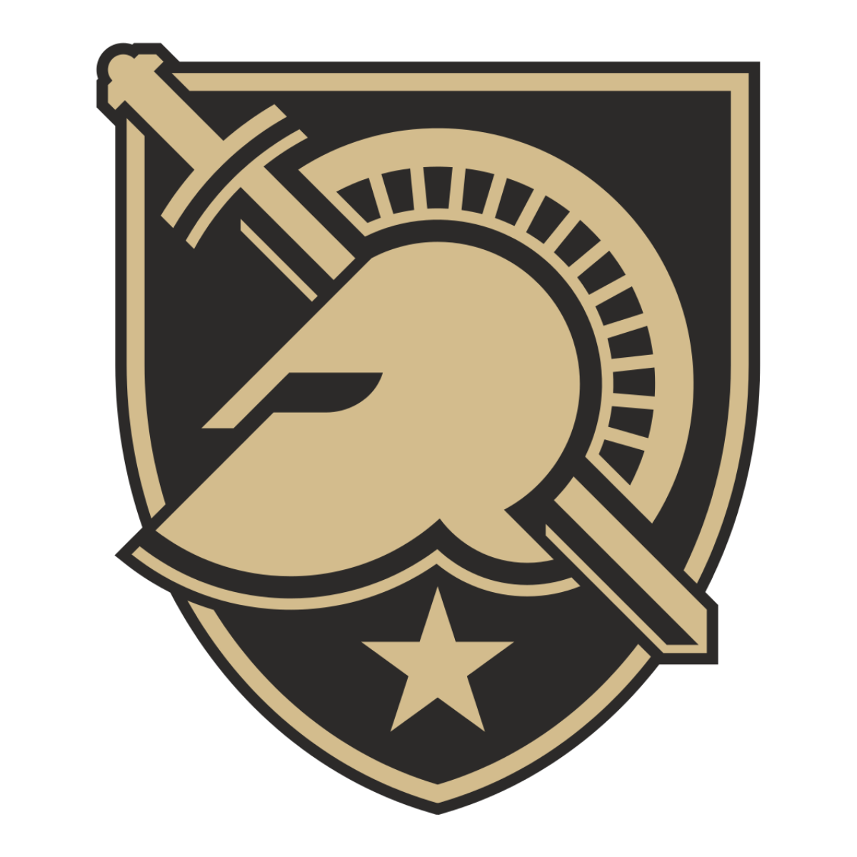 A stylized emblem featuring a tan Spartan helmet and sword over a black shield with a tan border, a single tan star at the bottom, and the TPH Academy name subtly integrated into the design.