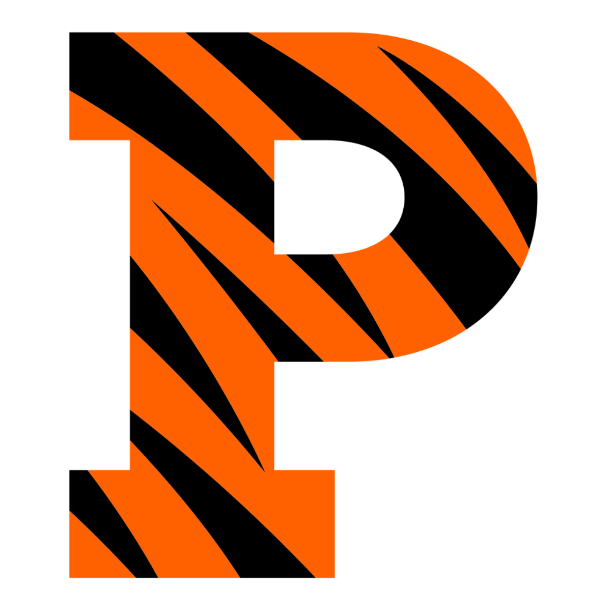 A bold, uppercase letter P filled with an orange background and black tiger stripes pattern, outlined with a thin white border—perfect for representing TPH Academy’s fierce spirit.